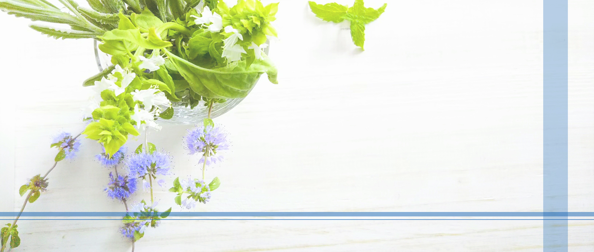 八尾市西山本町、河内山本駅、内科、循環器内科、消化器内科